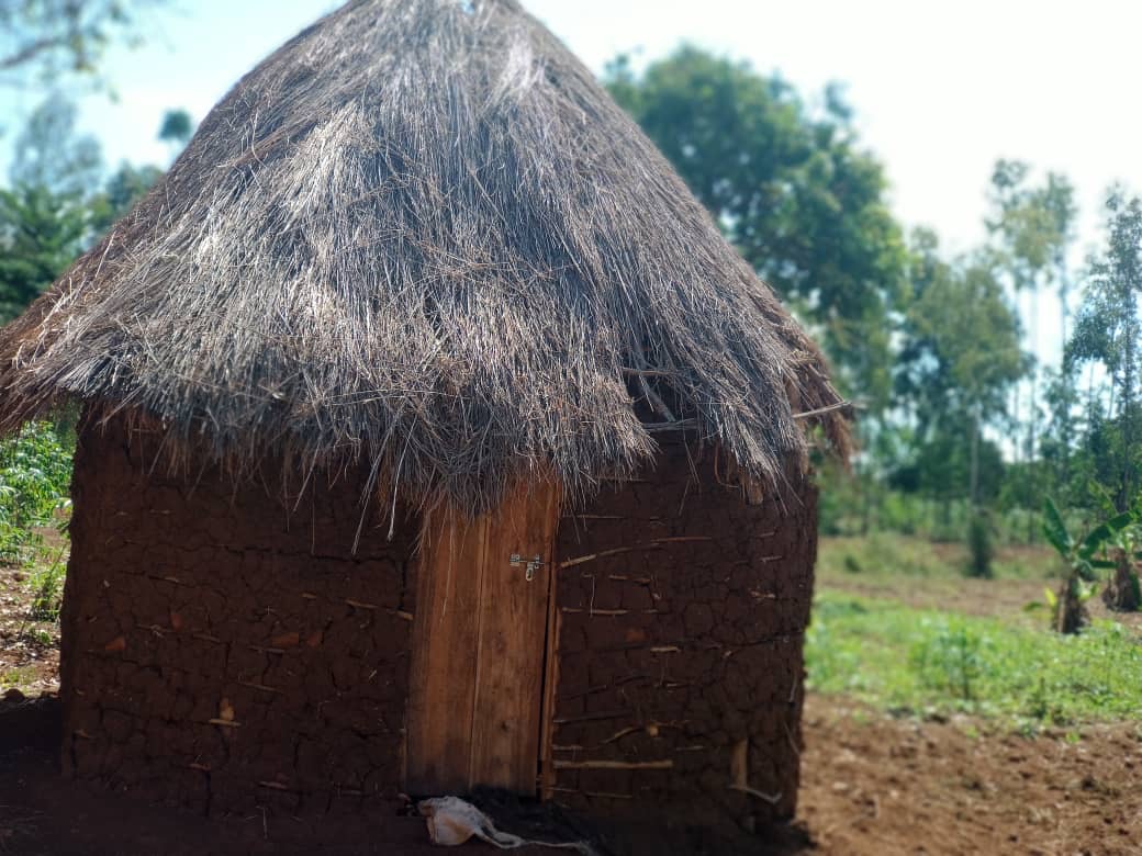 The mud-and-stick hut the children lived in during 2020